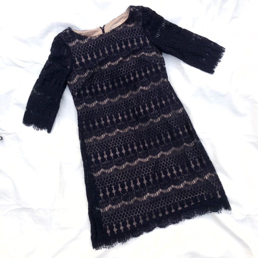 Dress Barn | Petite Navy / Nude Lace Shift Dress